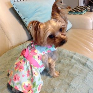 Meet your Posher, Carolyn